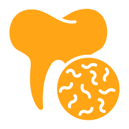 Individualprophylaxe & Paradontologie